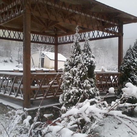 Villa Alexandra Grevena Buitenkant foto