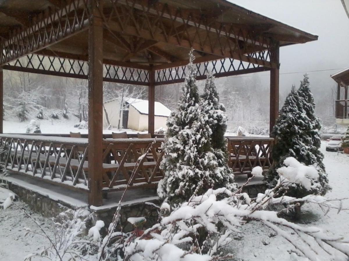 Villa Alexandra Grevena Buitenkant foto